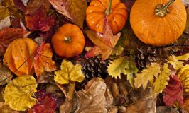 Thanksgiving Coloring Pages